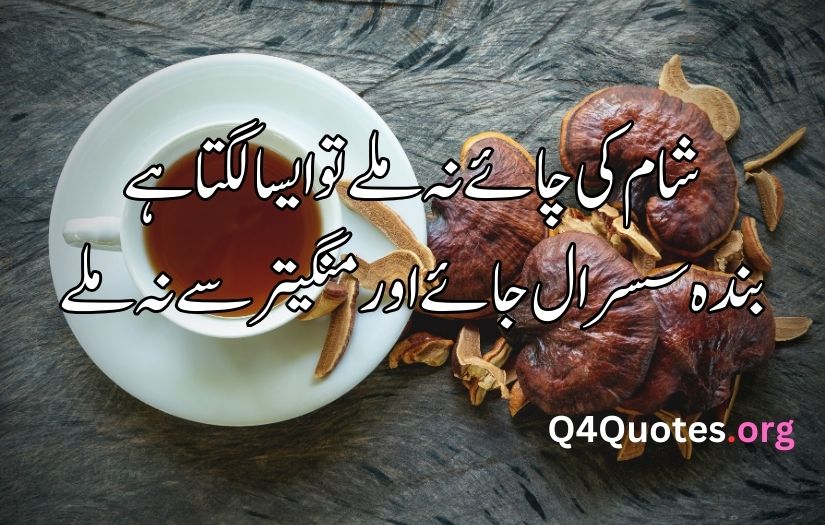 Tea poetry in Urdu text