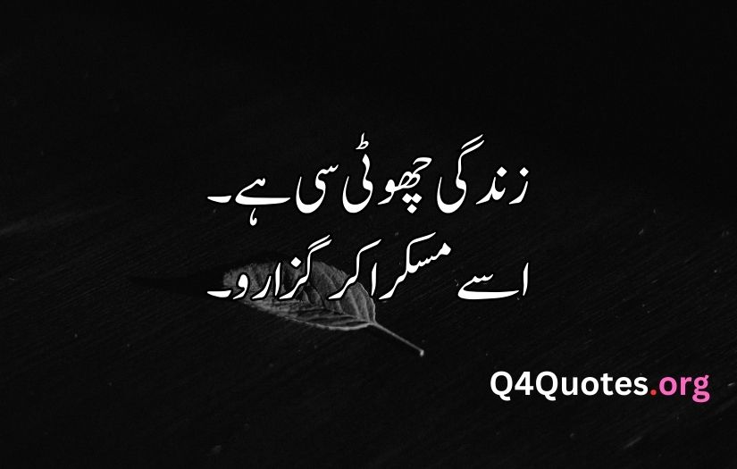 Urdu quotes about life 