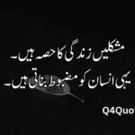 Urdu quotes about life