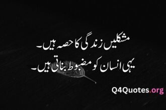 Urdu quotes about life