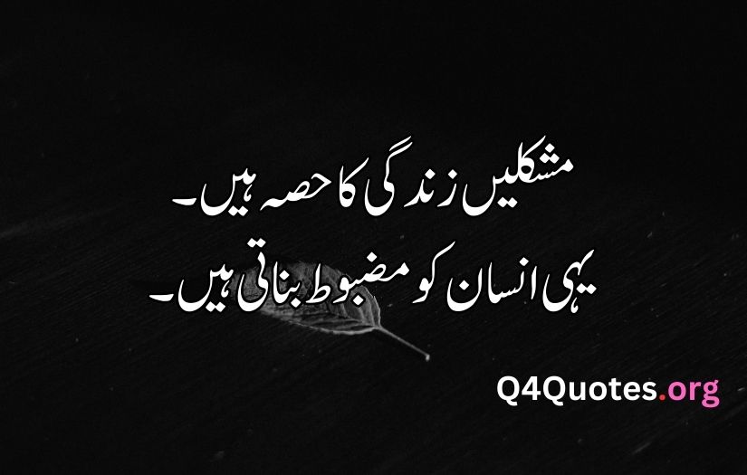 Urdu quotes about life