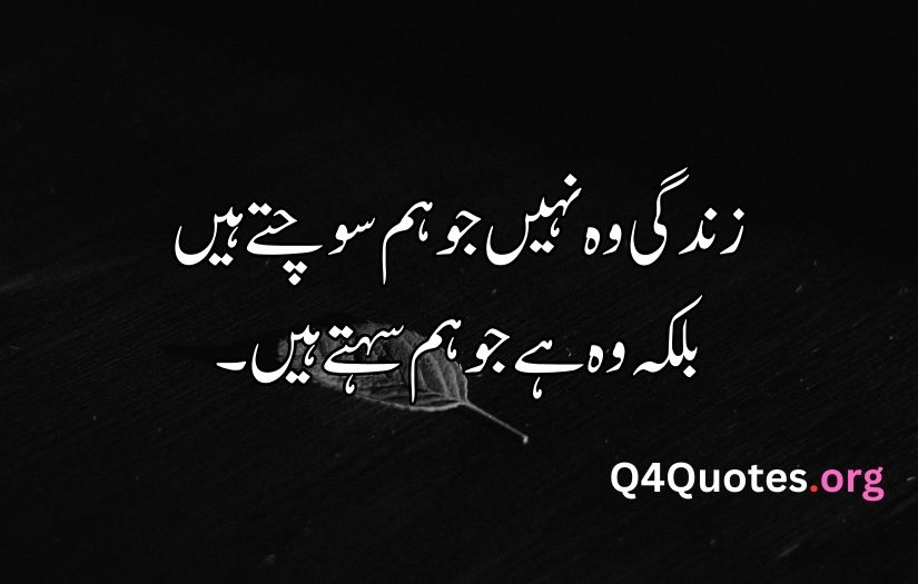 Urdu quotes about life