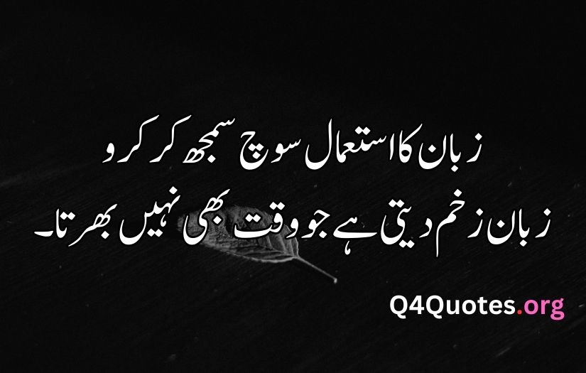 Urdu quotes about life